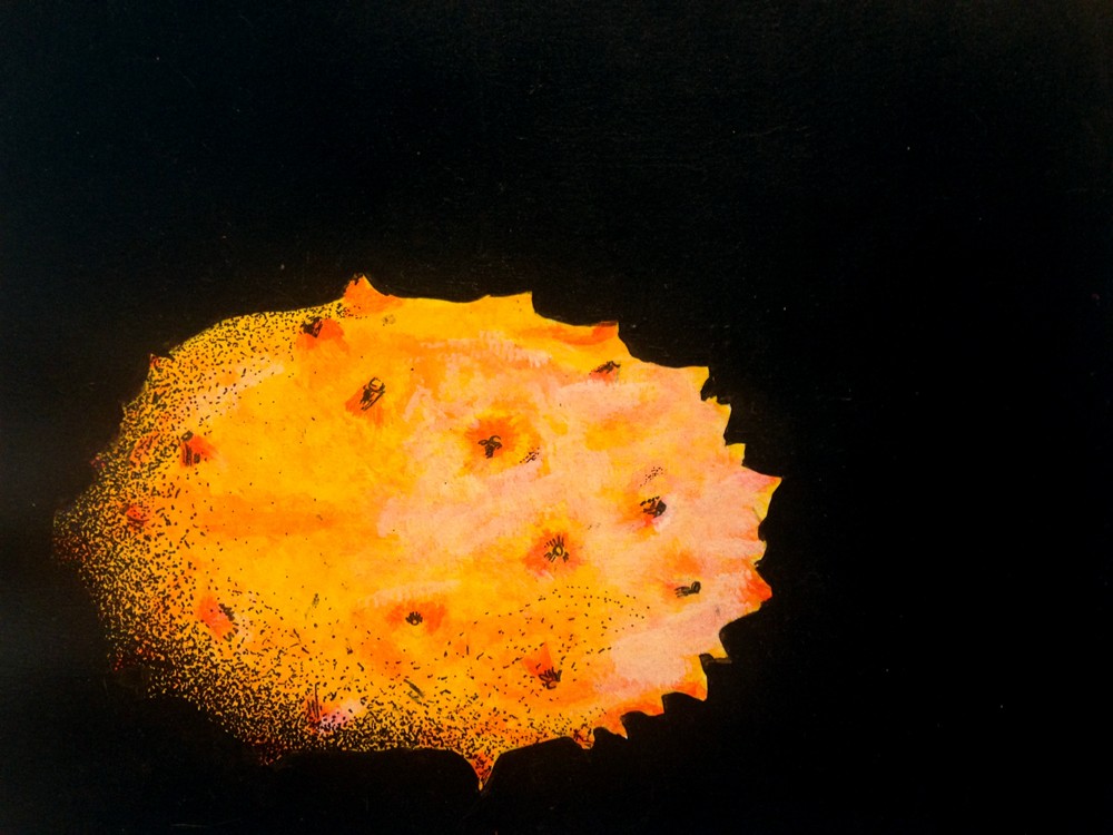 Fruit study on a dark background