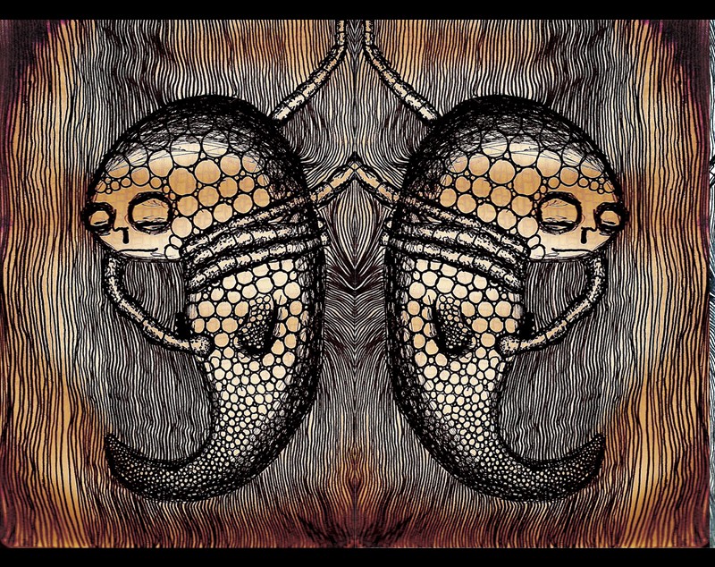 Mirrored fetus illustration