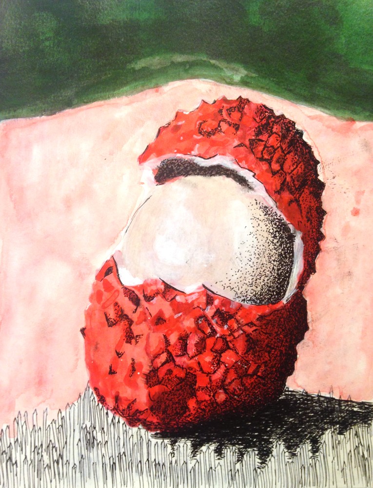 Lychee study